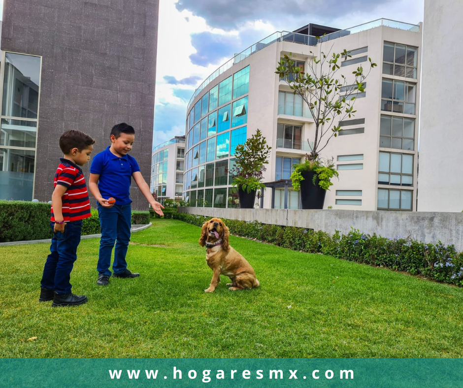 Departamentos de Lujo en Cumbres Barreal, Cholula | INFONAVIT FOVISSSTE