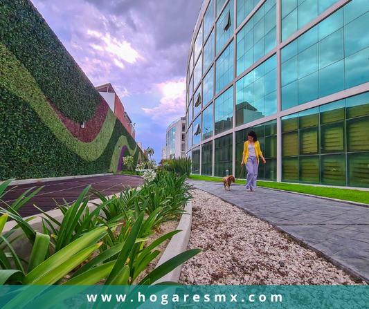Pent-houses y departamentos en Cholula, Puebla. Cumbres Barreal. Zona universitaria.